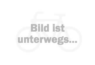 Fahrrad Goyn