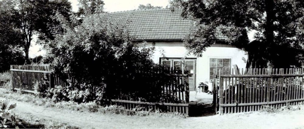 Fahrrad Goyn