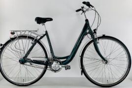 Kessel Petra (7 Gang) racing green - 28 Zoll