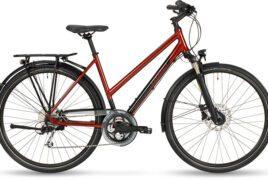 Stevens Savoie Lady red currant - 28 Zoll
