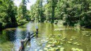 Lübbenau Spreewald