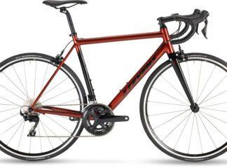 Stevens Stelvio red currant – 28 Zoll