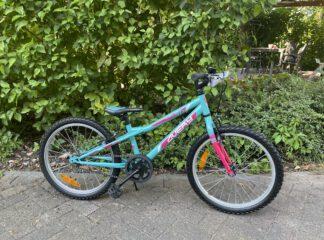 20″ Avery Kinderrad MTB 20″ Avery Kinderrad MTB