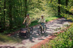 3 wheel bicycle for adults Thuja vanRaam