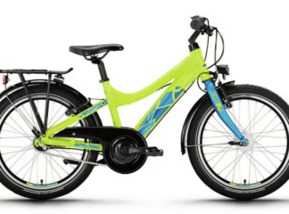 Victoria Eqola 1 lime yellow – 20 Zoll