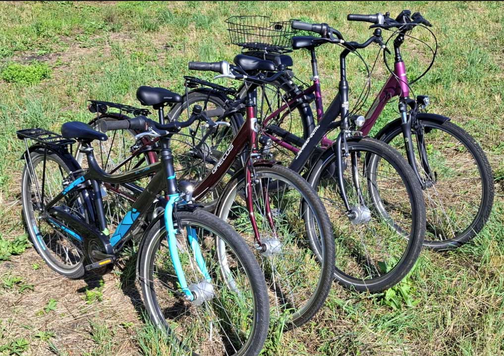 Fahrradverleih Lübbenau - Fahrrad Goyn