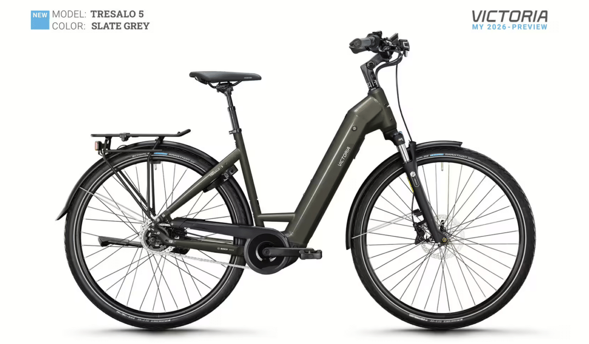 Victoria Tresalo 5 (2026) slate grey - 28 Zoll